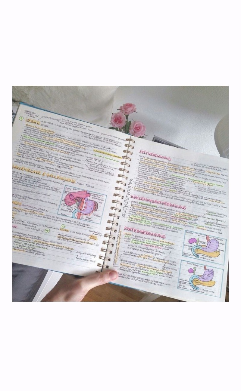 section-img